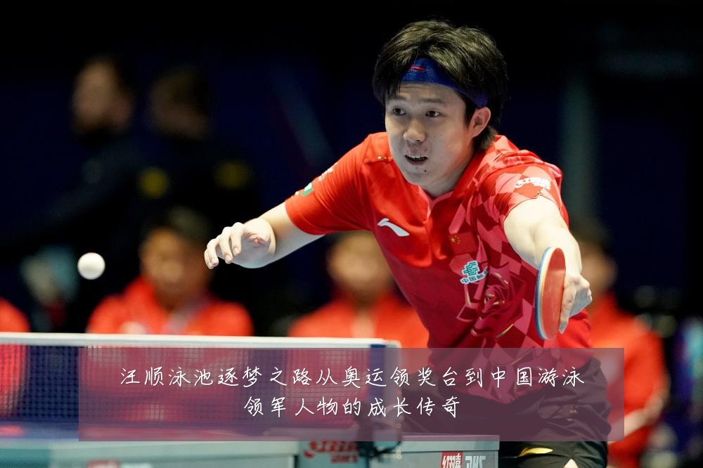 汪顺泳池逐梦之路从奥运领奖台到中国游泳领军人物的成长传奇