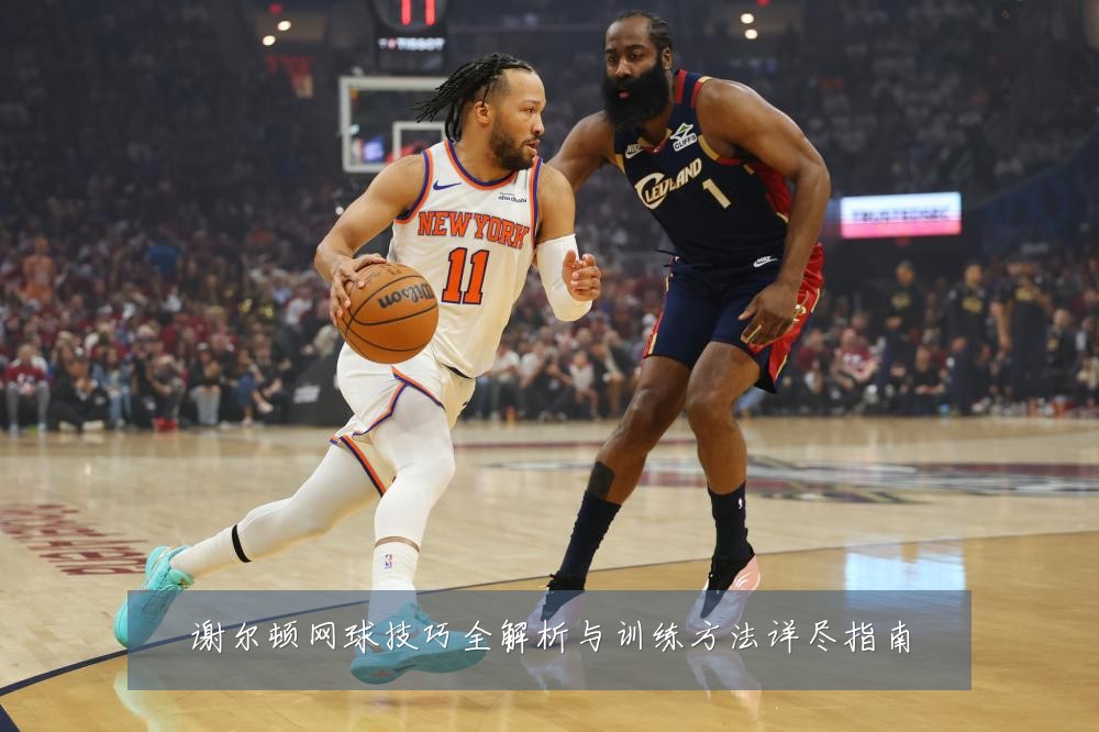 谢尔顿网球技巧全解析与训练方法详尽指南